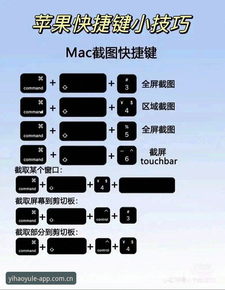 壹号娱乐专属空间使用指南 壹号娱乐平台专属空间操作教程:从入门到精通